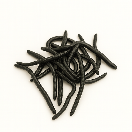 Black fishing lures on a white background