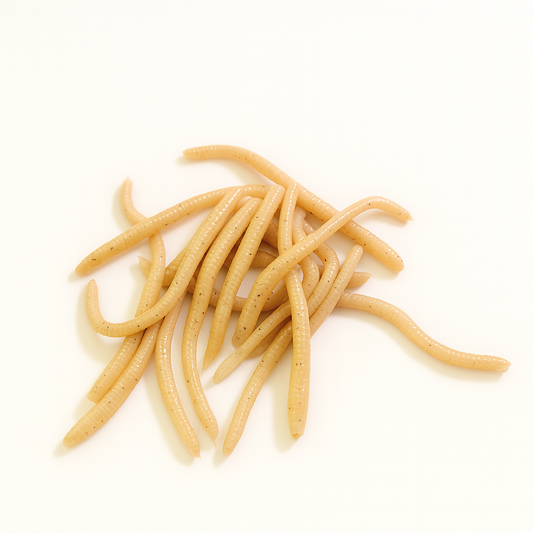 Pile of small, light brown worms on a white background