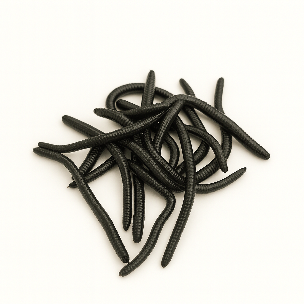 Black fishing lures on a white background
